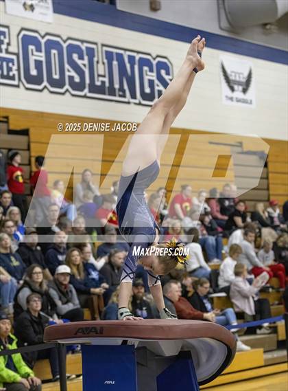Thumbnail 1 in WIAA Badger Conference (Vault) photogallery.