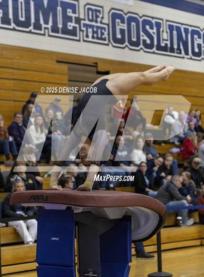 Thumbnail 3 in WIAA Badger Conference (Vault) photogallery.