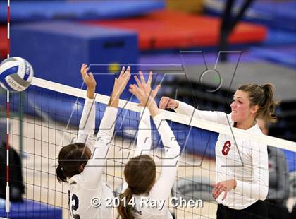 Thumbnail 2 in Chatfield @ Columbine photogallery.
