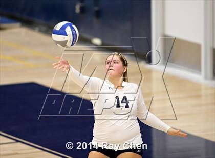 Thumbnail 1 in Chatfield @ Columbine photogallery.