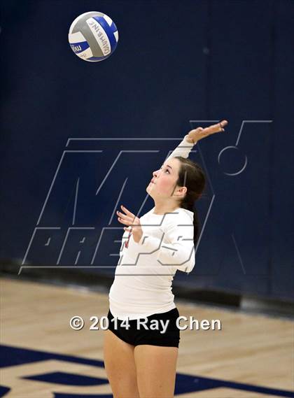Thumbnail 1 in Chatfield @ Columbine photogallery.