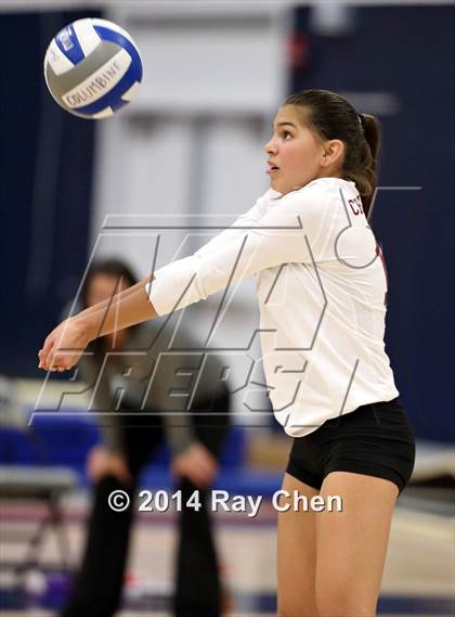 Thumbnail 2 in Chatfield @ Columbine photogallery.