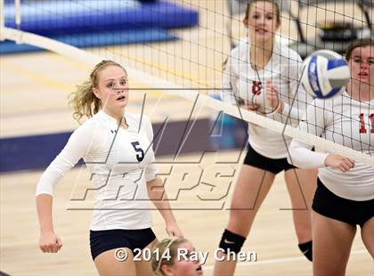 Thumbnail 1 in Chatfield @ Columbine photogallery.