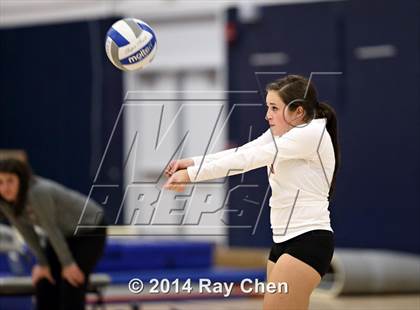 Thumbnail 3 in Chatfield @ Columbine photogallery.