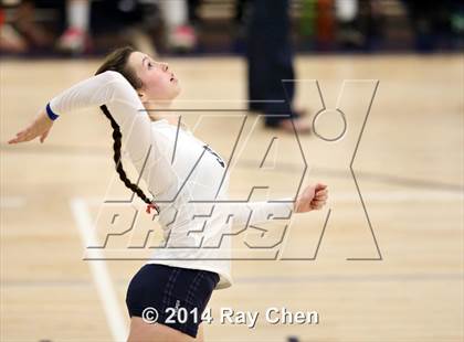 Thumbnail 2 in Chatfield @ Columbine photogallery.