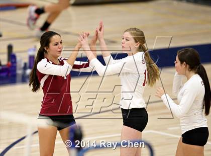 Thumbnail 1 in Chatfield @ Columbine photogallery.