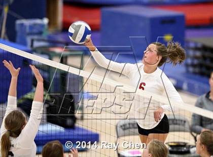 Thumbnail 2 in Chatfield @ Columbine photogallery.