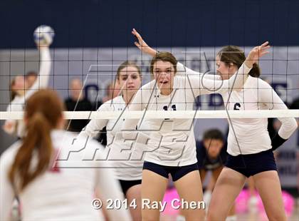 Thumbnail 1 in Chatfield @ Columbine photogallery.