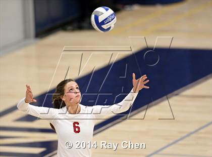 Thumbnail 1 in Chatfield @ Columbine photogallery.