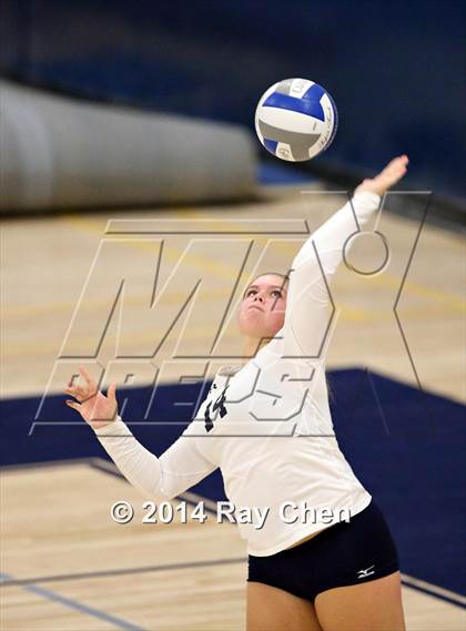 Thumbnail 2 in Chatfield @ Columbine photogallery.