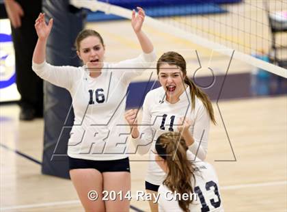 Thumbnail 1 in Chatfield @ Columbine photogallery.