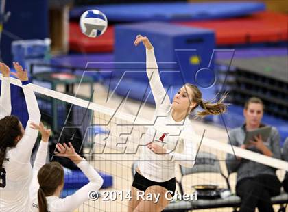 Thumbnail 2 in Chatfield @ Columbine photogallery.