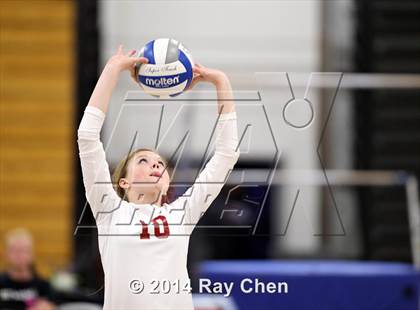 Thumbnail 1 in Chatfield @ Columbine photogallery.
