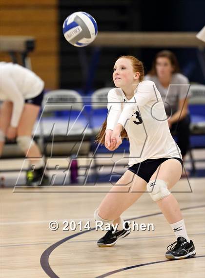 Thumbnail 1 in Chatfield @ Columbine photogallery.