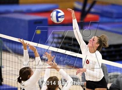 Thumbnail 1 in Chatfield @ Columbine photogallery.