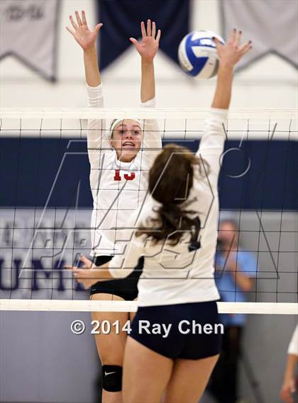 Thumbnail 1 in Chatfield @ Columbine photogallery.