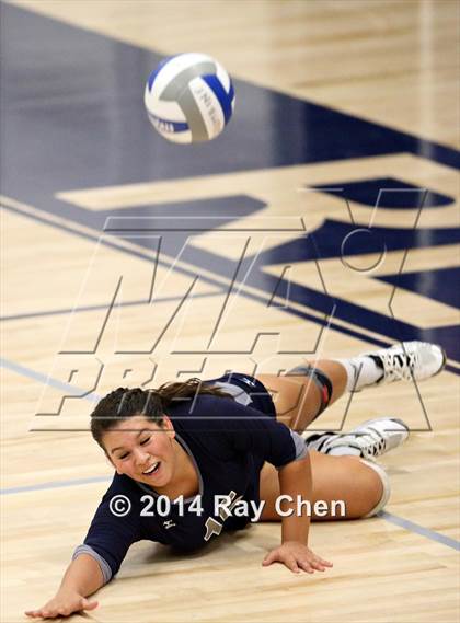 Thumbnail 1 in Chatfield @ Columbine photogallery.