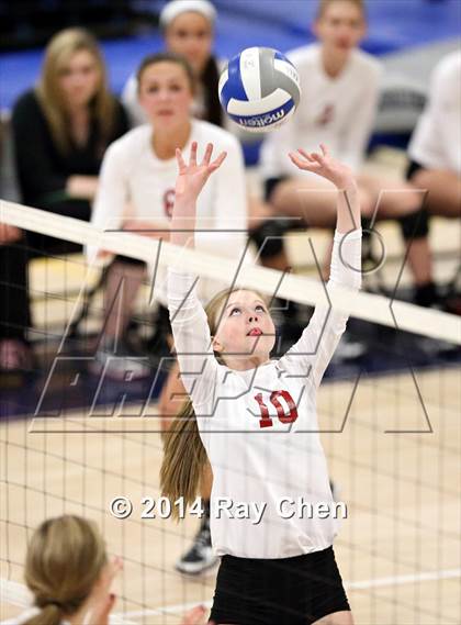 Thumbnail 2 in Chatfield @ Columbine photogallery.