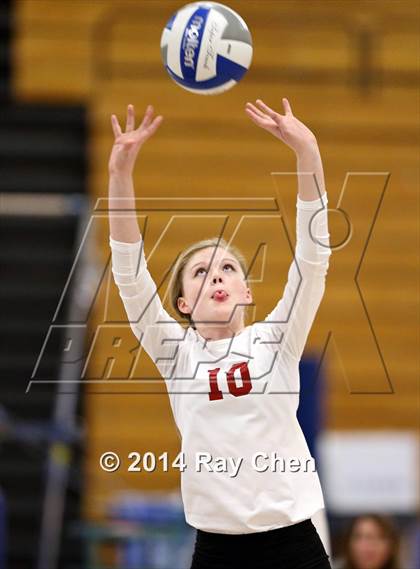 Thumbnail 1 in Chatfield @ Columbine photogallery.