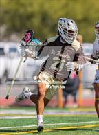 Photo from the gallery "St. Francis @ Crespi"
