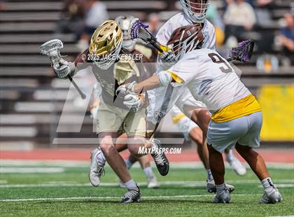 Thumbnail 3 in St. Francis @ Crespi photogallery.