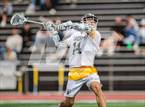 Photo from the gallery "St. Francis @ Crespi"
