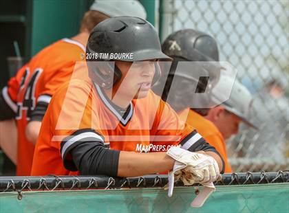 Thumbnail 1 in Lakewood vs. Legend (CHSAA Class 5A Regional Playoff) photogallery.