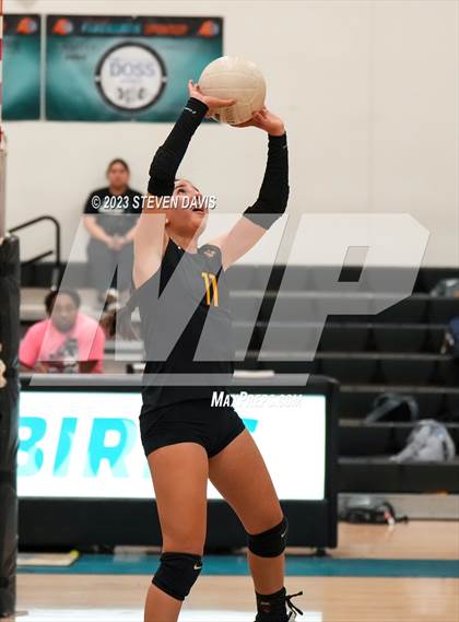 Thumbnail 1 in Salpointe Catholic @ Eastmark (AIA 4A Quarterfinals) photogallery.