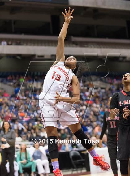 Thumbnail 1 in Cypress Woods vs. Wagner (UIL 6A Semifinal) photogallery.