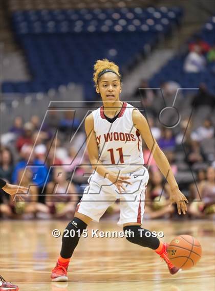 Thumbnail 1 in Cypress Woods vs. Wagner (UIL 6A Semifinal) photogallery.