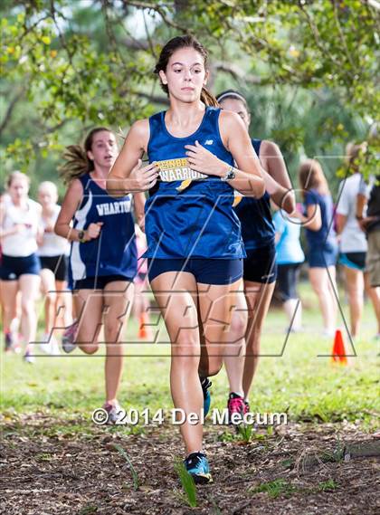 Thumbnail 3 in Hillsborough County Freshman Sophomore Tournament photogallery.