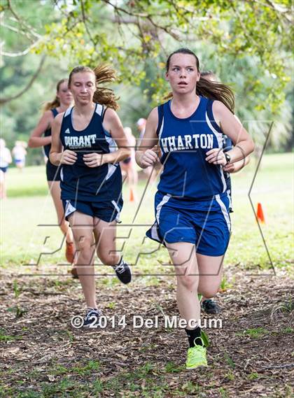 Thumbnail 3 in Hillsborough County Freshman Sophomore Tournament photogallery.