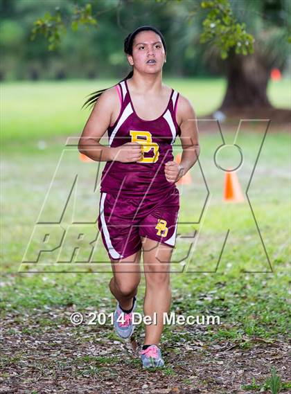 Thumbnail 1 in Hillsborough County Freshman Sophomore Tournament photogallery.