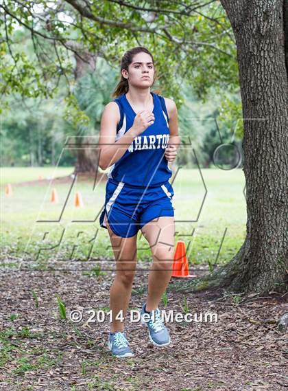 Thumbnail 3 in Hillsborough County Freshman Sophomore Tournament photogallery.