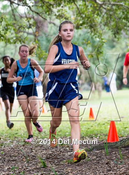 Thumbnail 3 in Hillsborough County Freshman Sophomore Tournament photogallery.