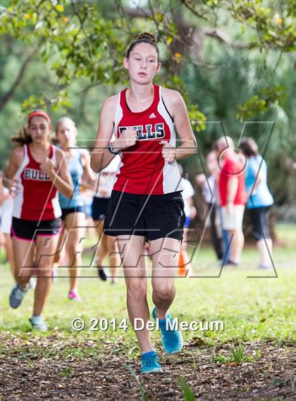 Thumbnail 2 in Hillsborough County Freshman Sophomore Tournament photogallery.