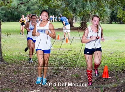 Thumbnail 2 in Hillsborough County Freshman Sophomore Tournament photogallery.