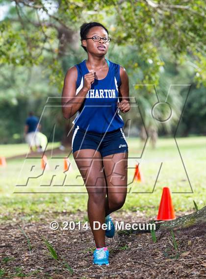 Thumbnail 2 in Hillsborough County Freshman Sophomore Tournament photogallery.