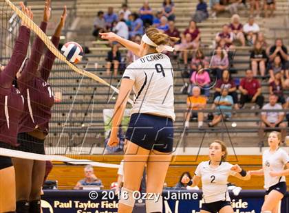 Thumbnail 3 in Marshall @ O'Connor photogallery.