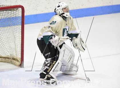 Thumbnail 3 in Fairfield Prep vs. Notre Dame-West Haven (CIAC DI Semifinal) photogallery.