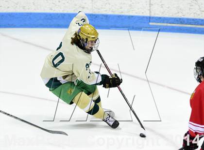 Thumbnail 2 in Fairfield Prep vs. Notre Dame-West Haven (CIAC DI Semifinal) photogallery.