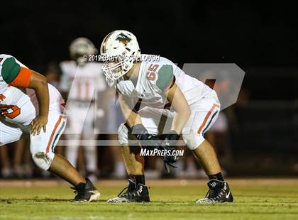 Thumbnail 1 in Mandarin @ Bartram Trail photogallery.