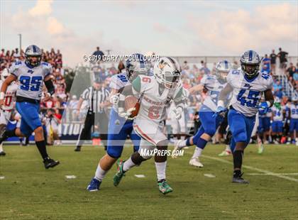 Thumbnail 1 in Mandarin @ Bartram Trail photogallery.
