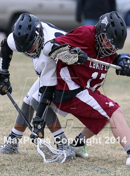 Thumbnail 1 in Chatfield @ Columbine photogallery.