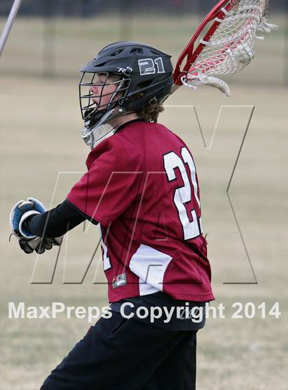 Thumbnail 1 in Chatfield @ Columbine photogallery.