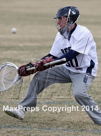 Thumbnail 1 in Chatfield @ Columbine photogallery.