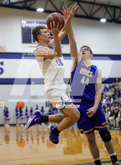 Thumbnail 3 in Brock @ Peaster photogallery.