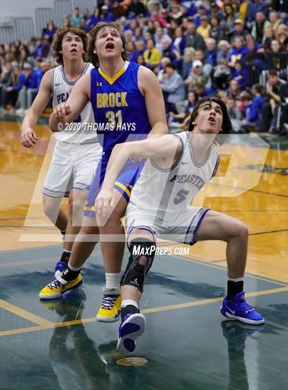 Thumbnail 1 in Brock @ Peaster photogallery.