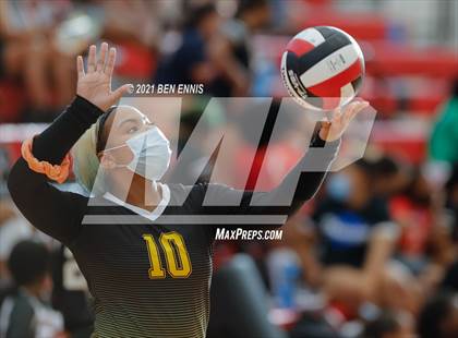 Thumbnail 1 in Jackson @ Dutchtown photogallery.