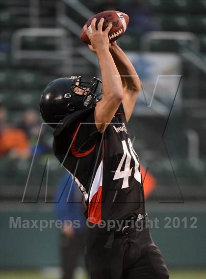 Thumbnail 1 in Haverling vs. Le Roy (Class C Semifinals) photogallery.
